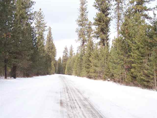 4089 Lessig Road Hunters, WA 99137 - Photo 4 of 9