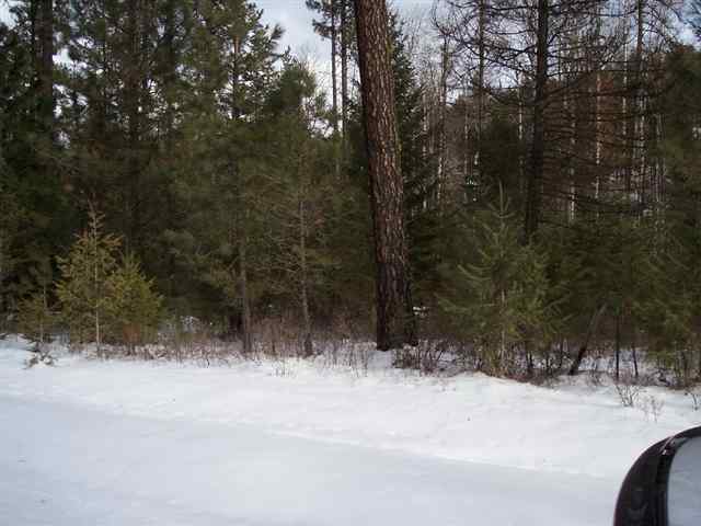 4089 Lessig Road Hunters, WA 99137 - Photo 5 of 9