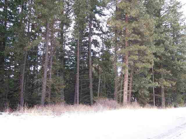 4089 Lessig Road Hunters, WA 99137 - Photo 8 of 9