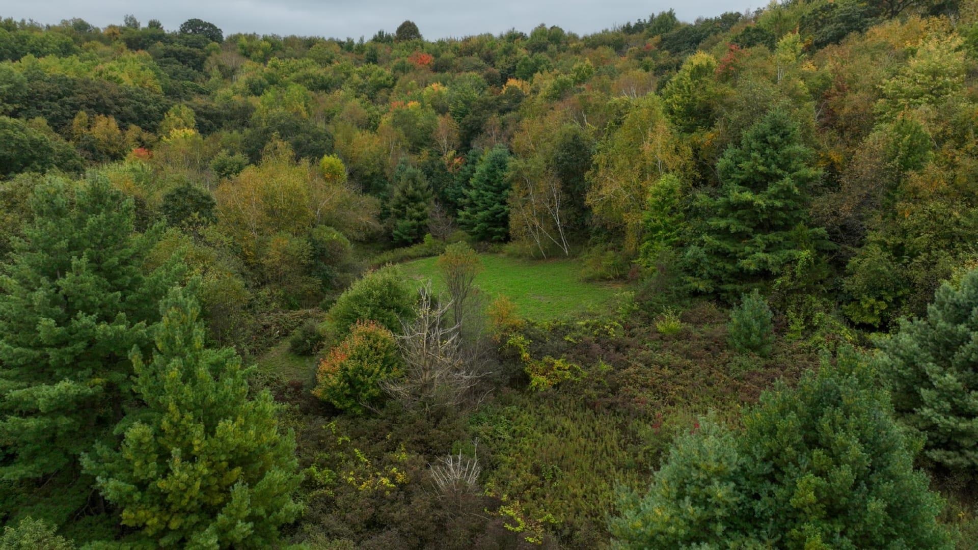 0 Pierce Road Hixton, WI 54635 - Photo 30 of 90 Gallery Image 30