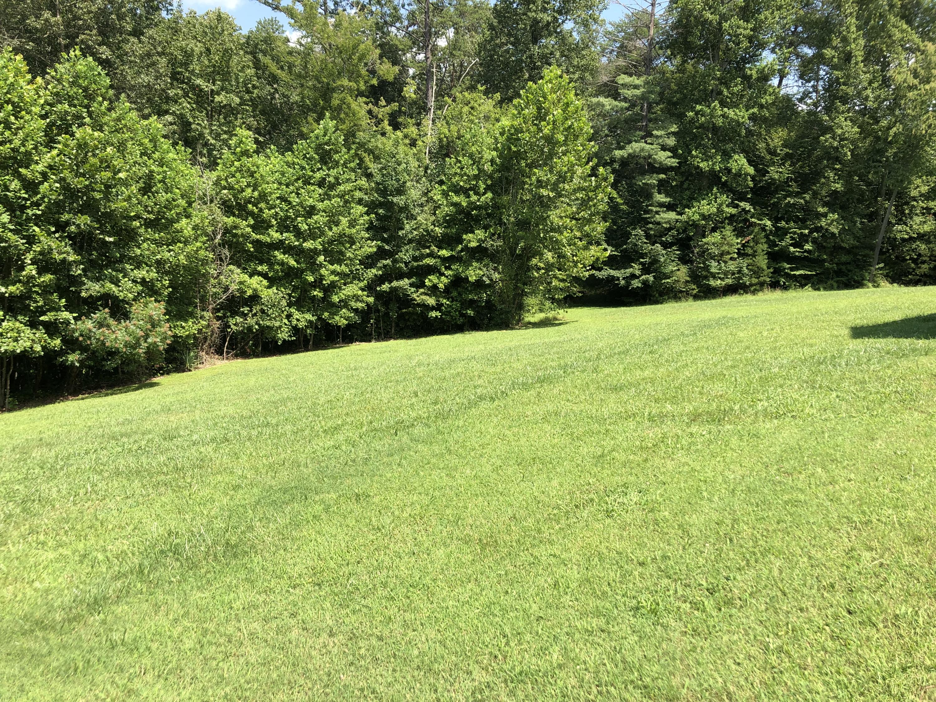 786 Big Ridge Park Road Maynardville, TN 37807 - Photo 3 of 30 IMG_2162