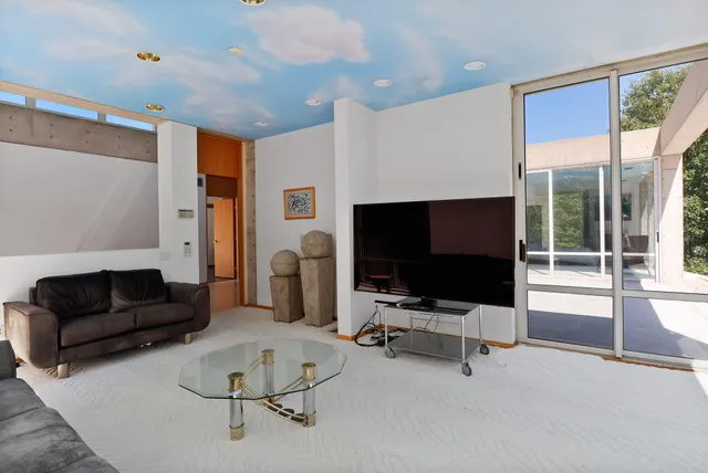 a aerial view of a house with a yard and potted plants