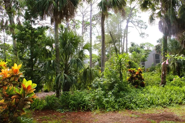 a plant view with yard