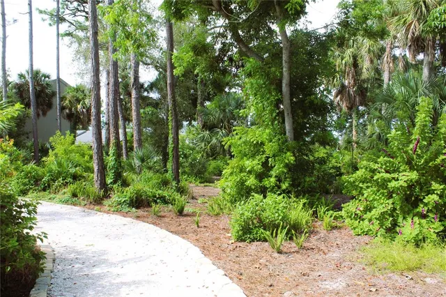 a view of a garden with plants