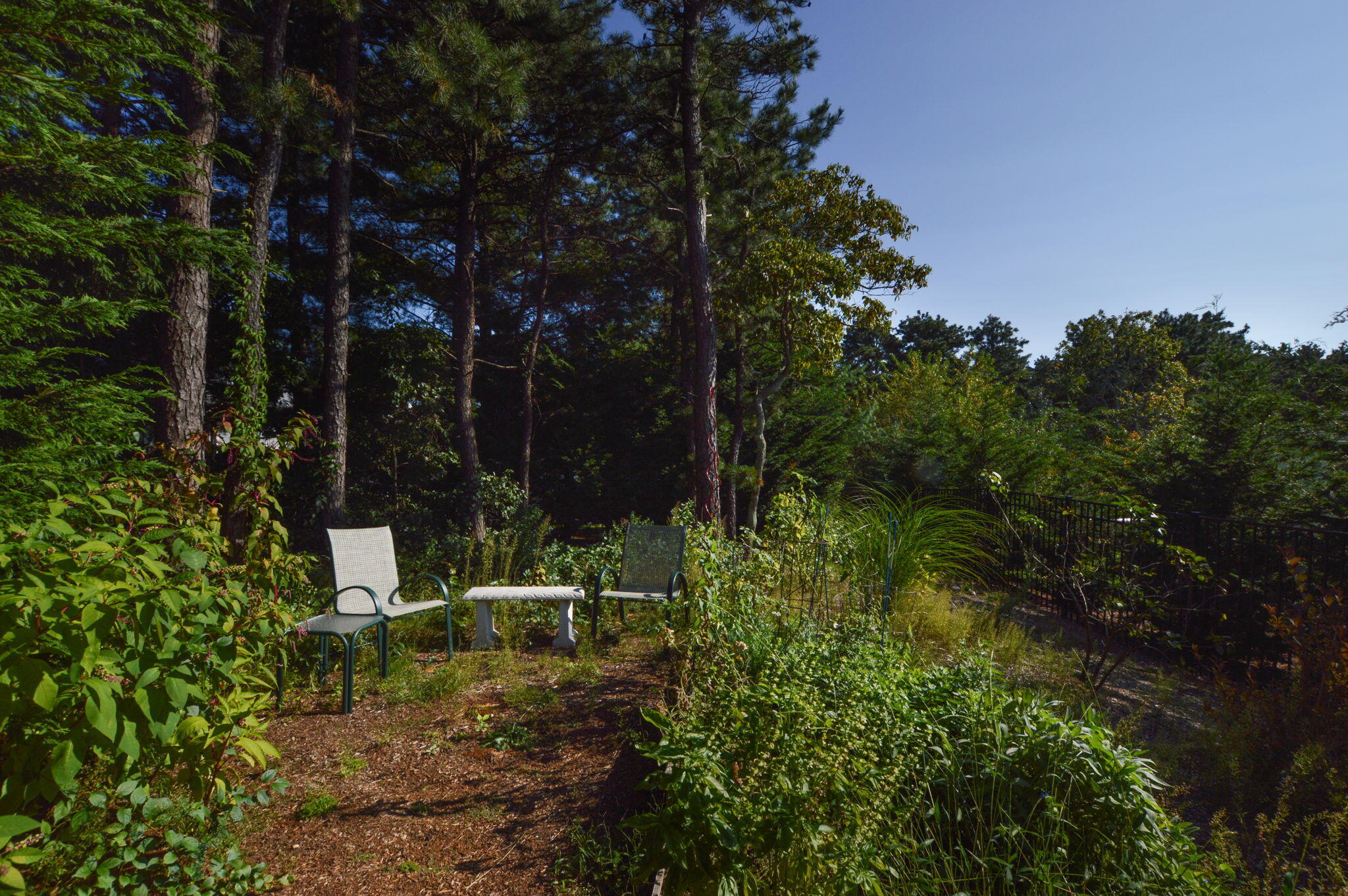 48 Taurus Drive Mashpee, MA 02649 - Photo 29 of 33 44-web-or-mls-DSC_0542 copy