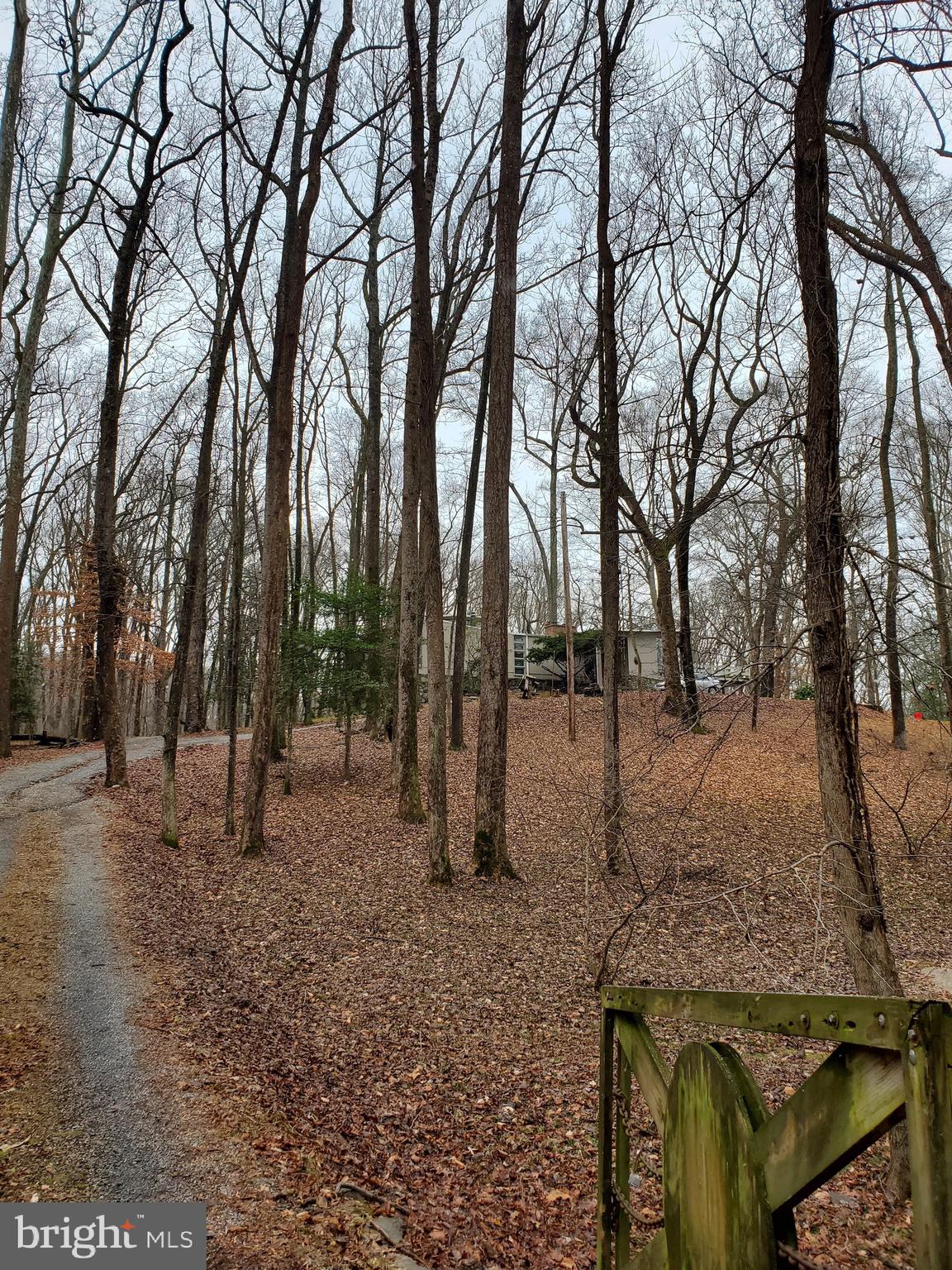 14711 Reserve Road Accokeek, MD 20607 - Photo 55 of 63 Property with leaves off the trees