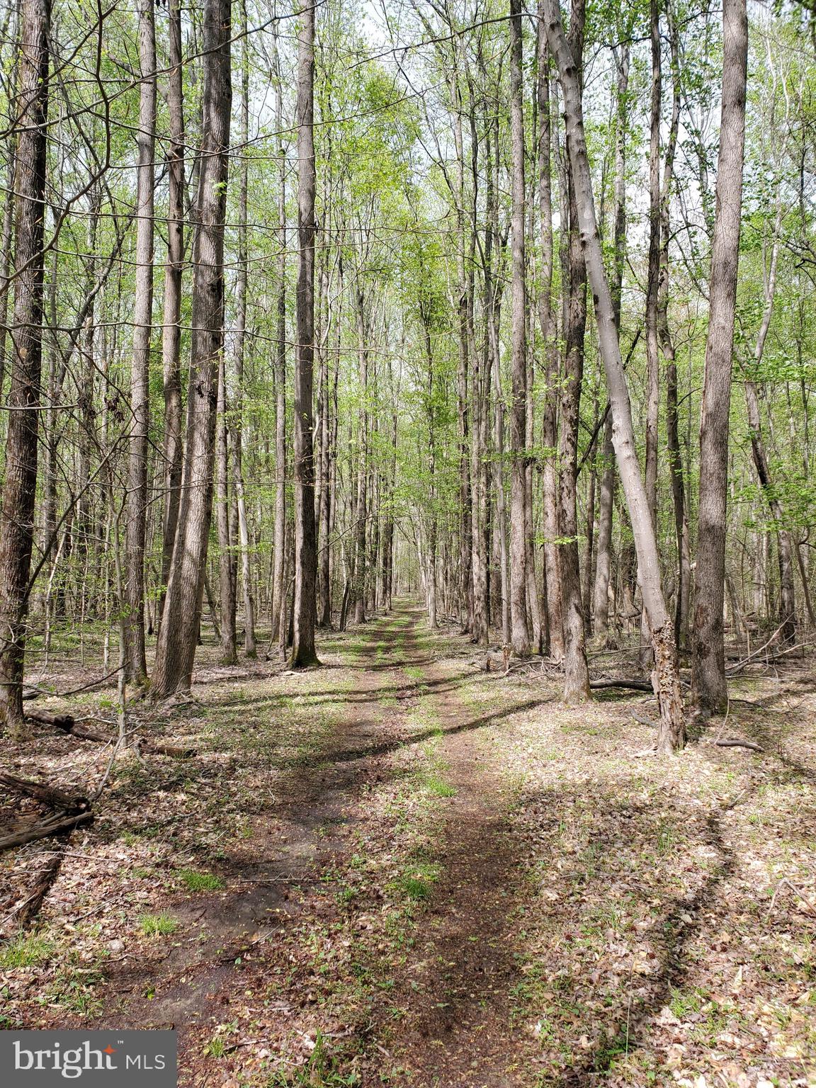 14711 Reserve Road Accokeek, MD 20607 - Photo 61 of 63 Take the trail thru Piscataway Park to the river