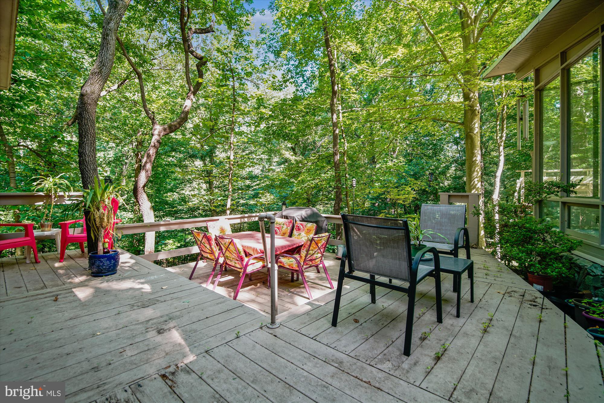 14711 Reserve Road Accokeek, MD 20607 - Photo 8 of 63 Live in the treetops