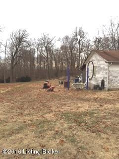 10314 Wingfield Road Louisville, KY 40291 - Photo 5 of 20 Rear Yard