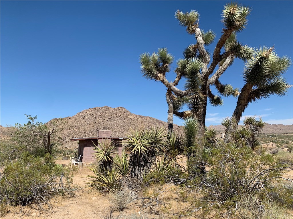 8249 Vía Rocosa Joshua Tree, CA 92252 - Photo 1 of 1