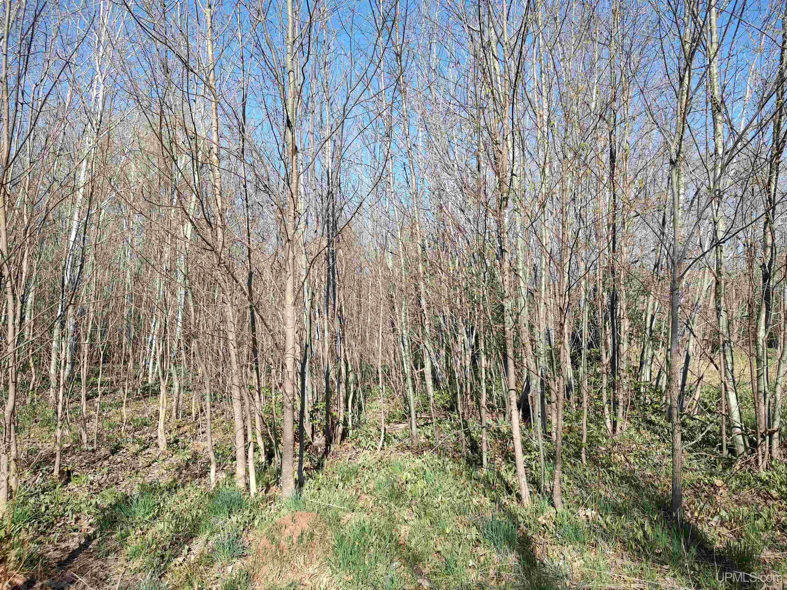 Tbd Tbd Schooner Road Ontonagon, MI 49953 - Photo 39 of 44