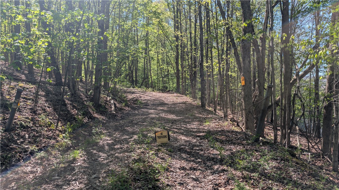 Lot 5 East River Road Andes, NY 13731 - Photo 17 of 39