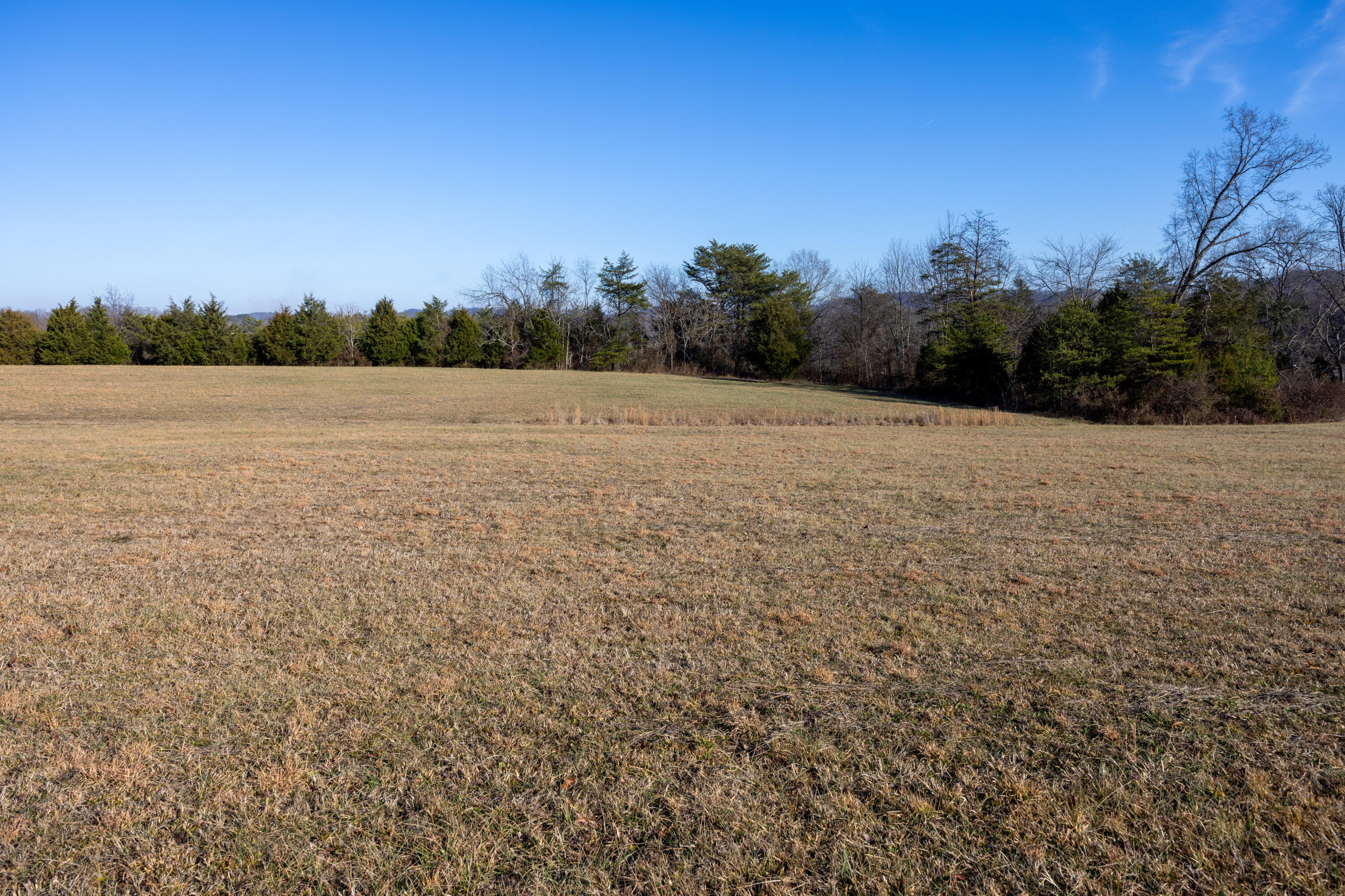9978 Spencer Road Mount Sterling, KY 40353 - Photo 10 of 50 Appalachian Media - Brad Smith-22