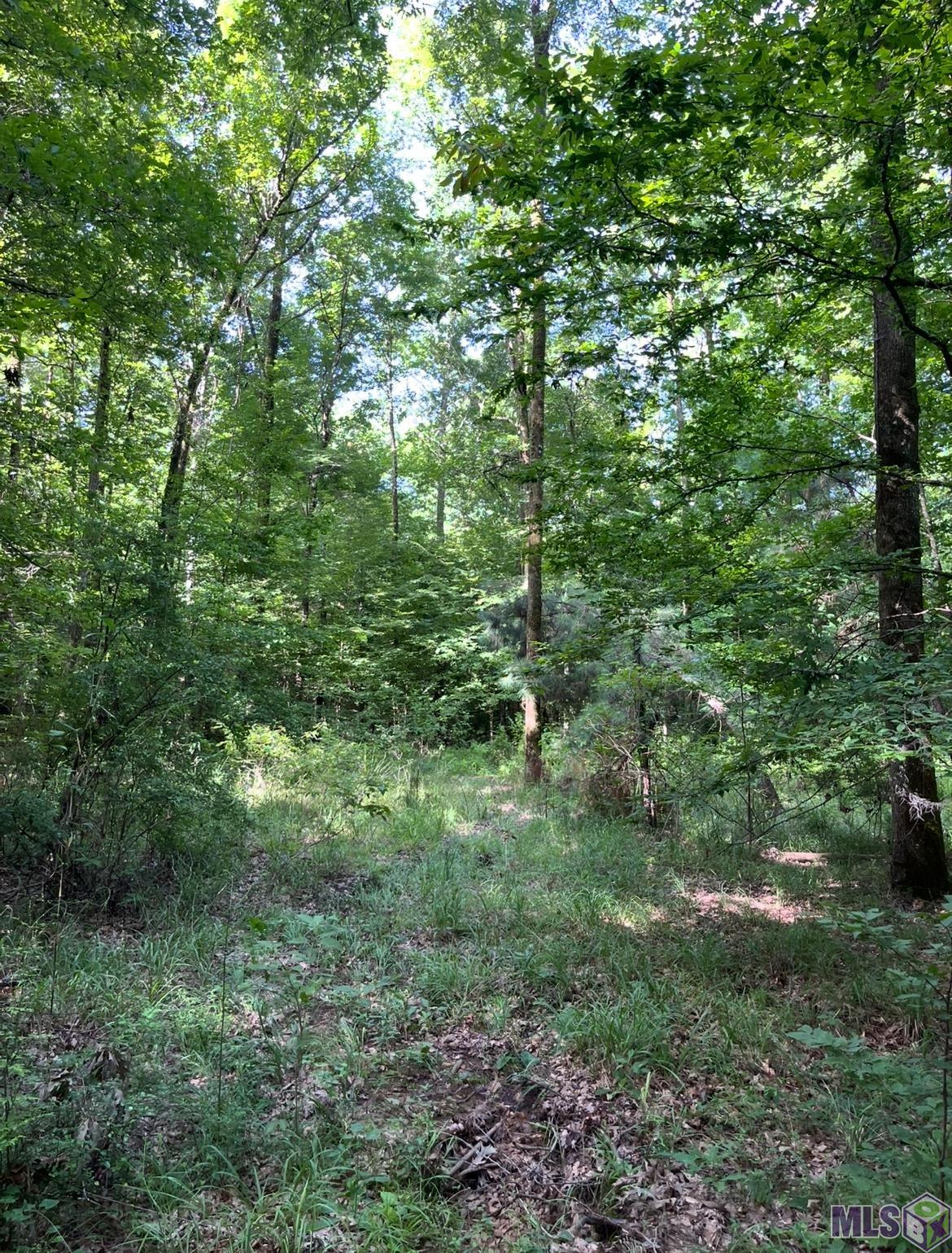 0 Paul Gallows Road Utica, MS 39175 - Photo 16 of 23