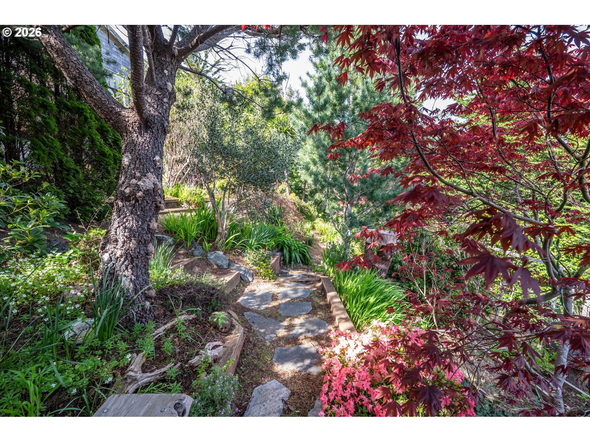 650 Tichenor Cemetery Road Port Orford, OR 97465 - Photo 37 of 48 a view of a tree with a tree