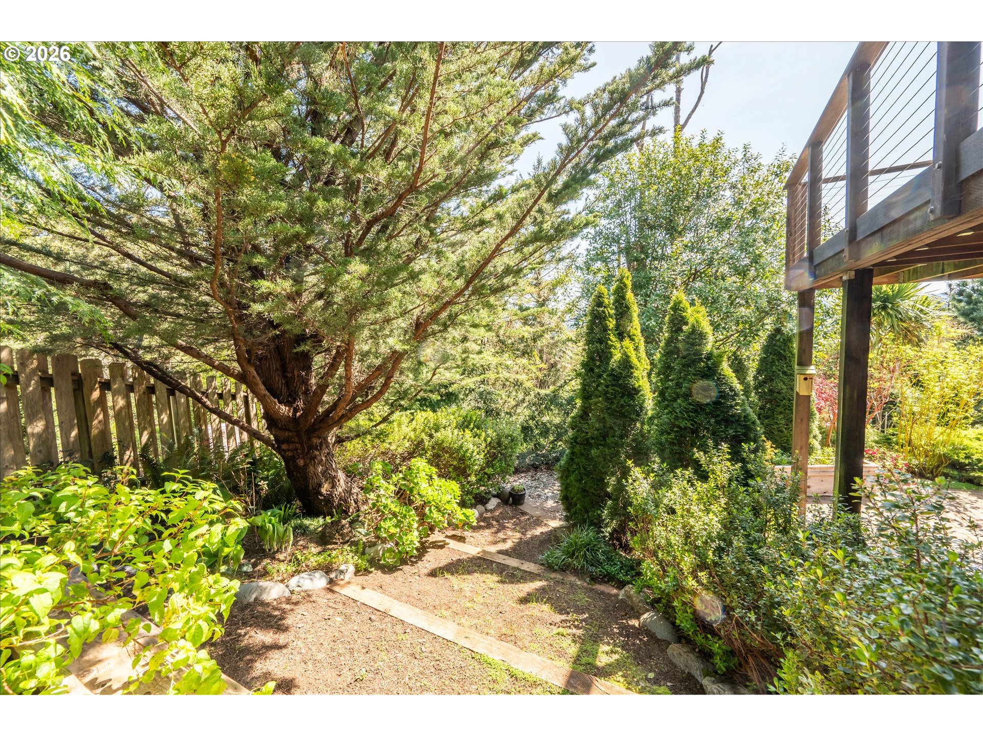 650 Tichenor Cemetery Road Port Orford, OR 97465 - Photo 44 of 48 a view of a yard with plants and large trees