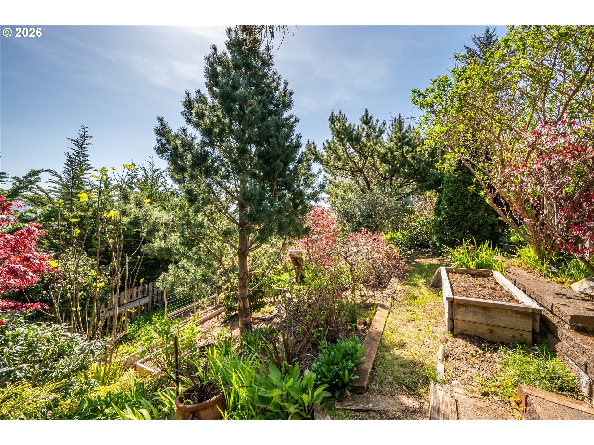 650 Tichenor Cemetery Road Port Orford, OR 97465 - Photo 45 of 48 a backyard of a house with lots of green space