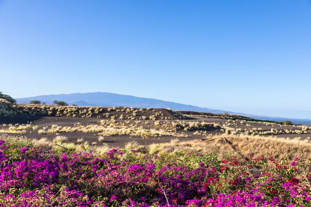 $3,295,000 | 62-4422 Lot 5-f-7/lot 15 Amaui Nani Place, Kamuela, HI 96743