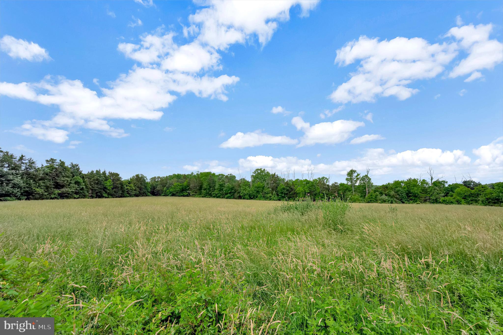 10960 Shenandoah Path Catlett, VA 20119 - Photo 45 of 62