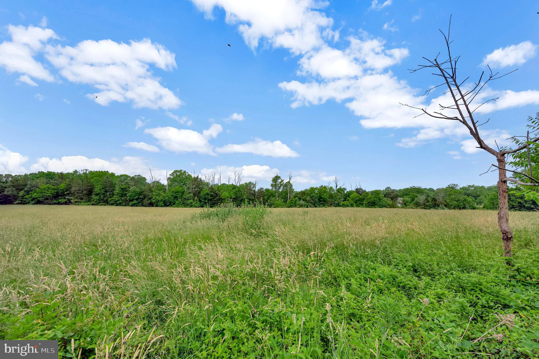 10960 Shenandoah Path Catlett, VA 20119 - Photo 46 of 62