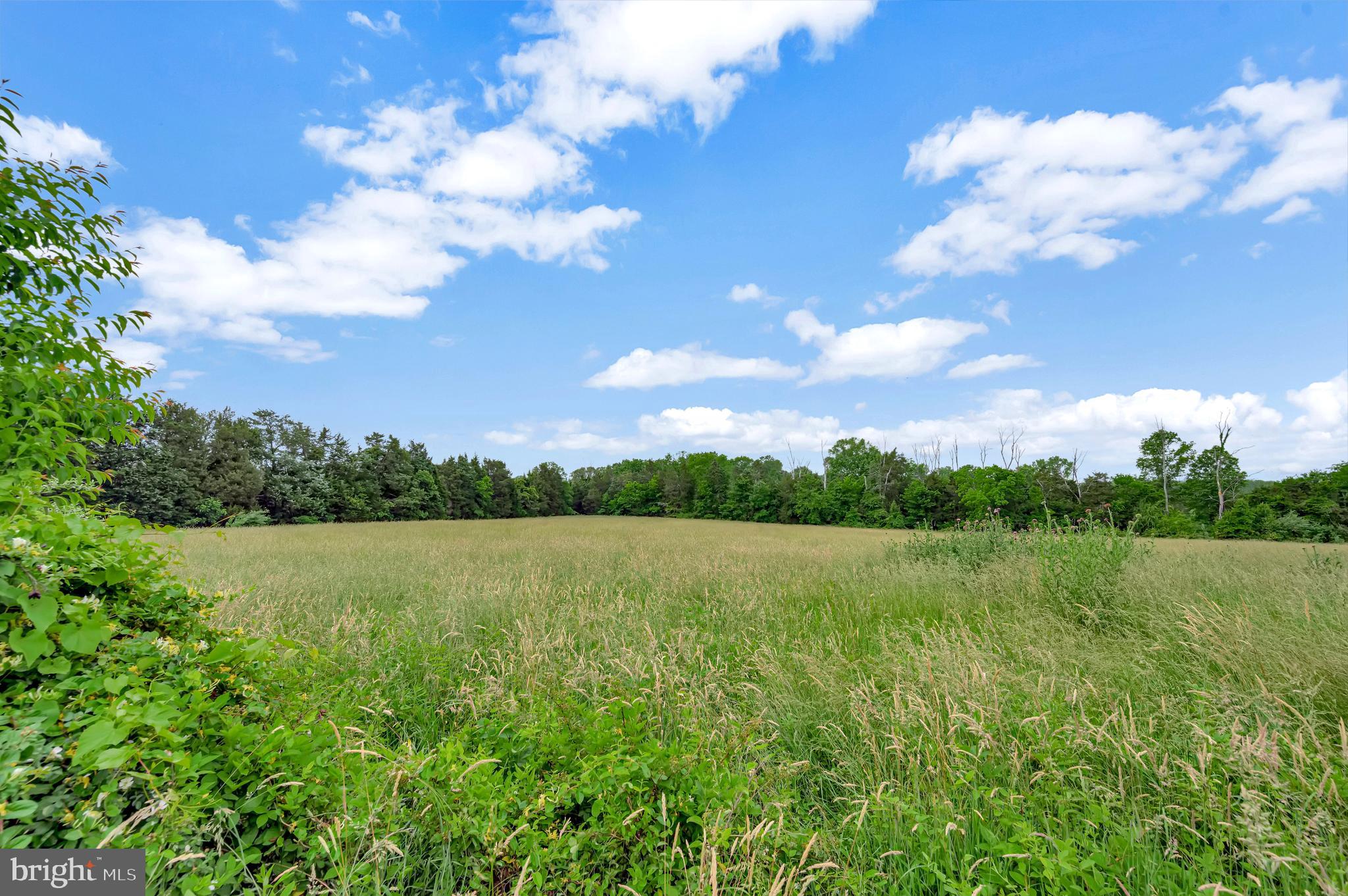 10960 Shenandoah Path Catlett, VA 20119 - Photo 47 of 62