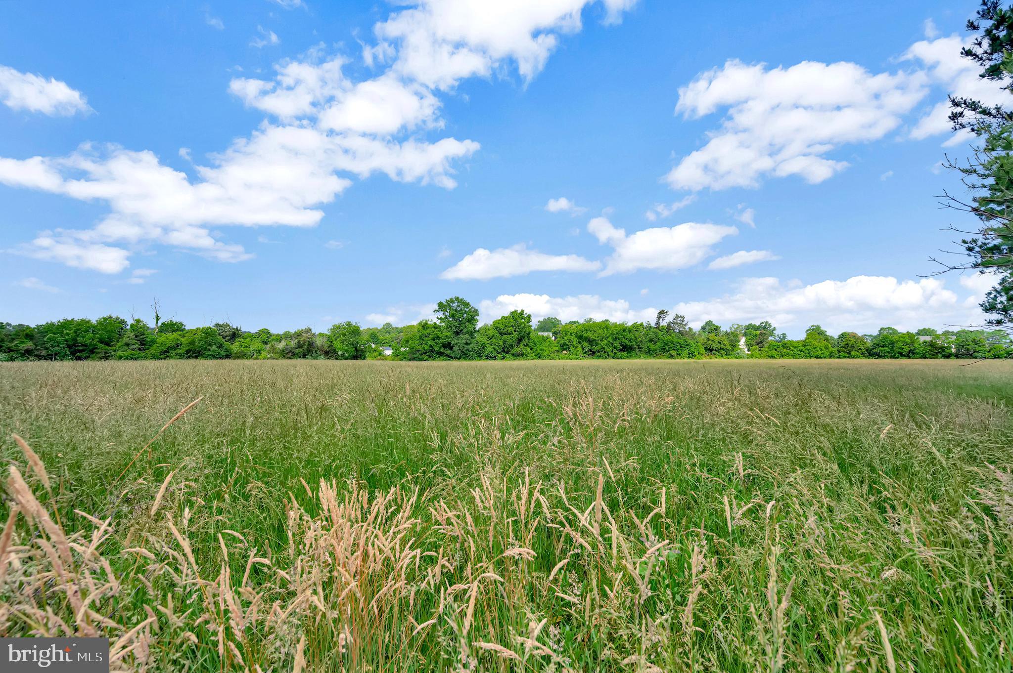 10960 Shenandoah Path Catlett, VA 20119 - Photo 54 of 62