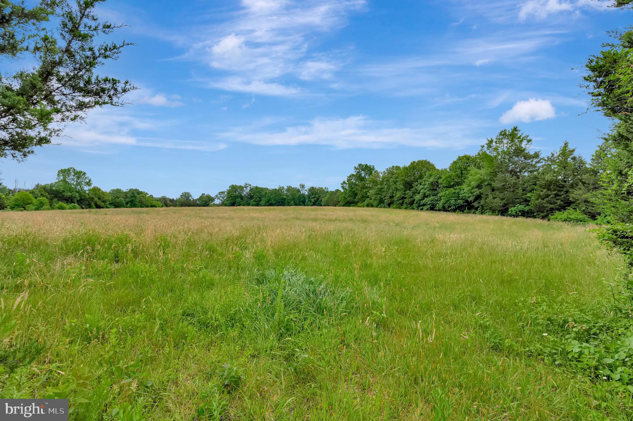 10960 Shenandoah Path Catlett, VA 20119 - Photo 61 of 62