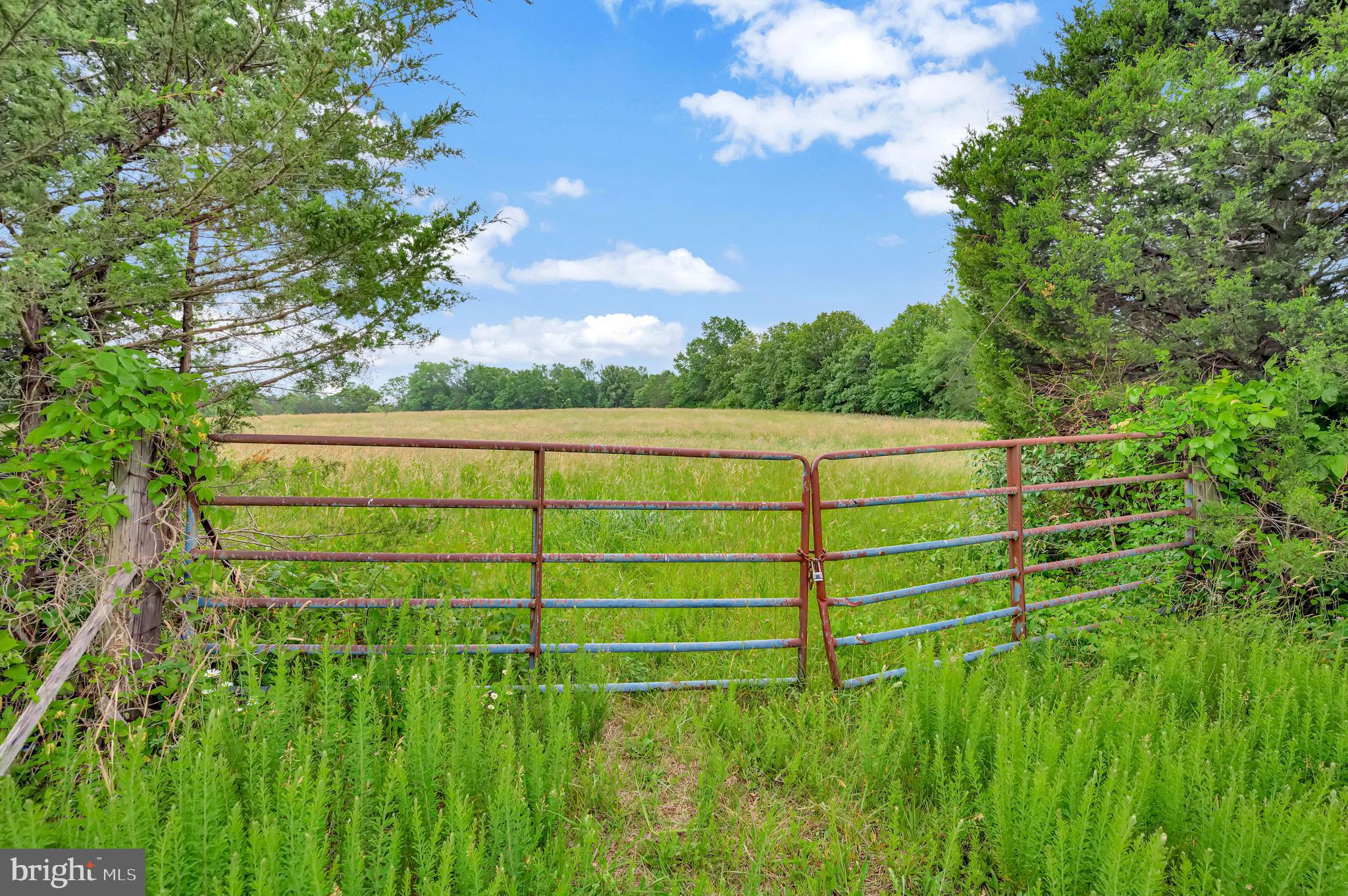 10960 Shenandoah Path Catlett, VA 20119 - Photo 62 of 62