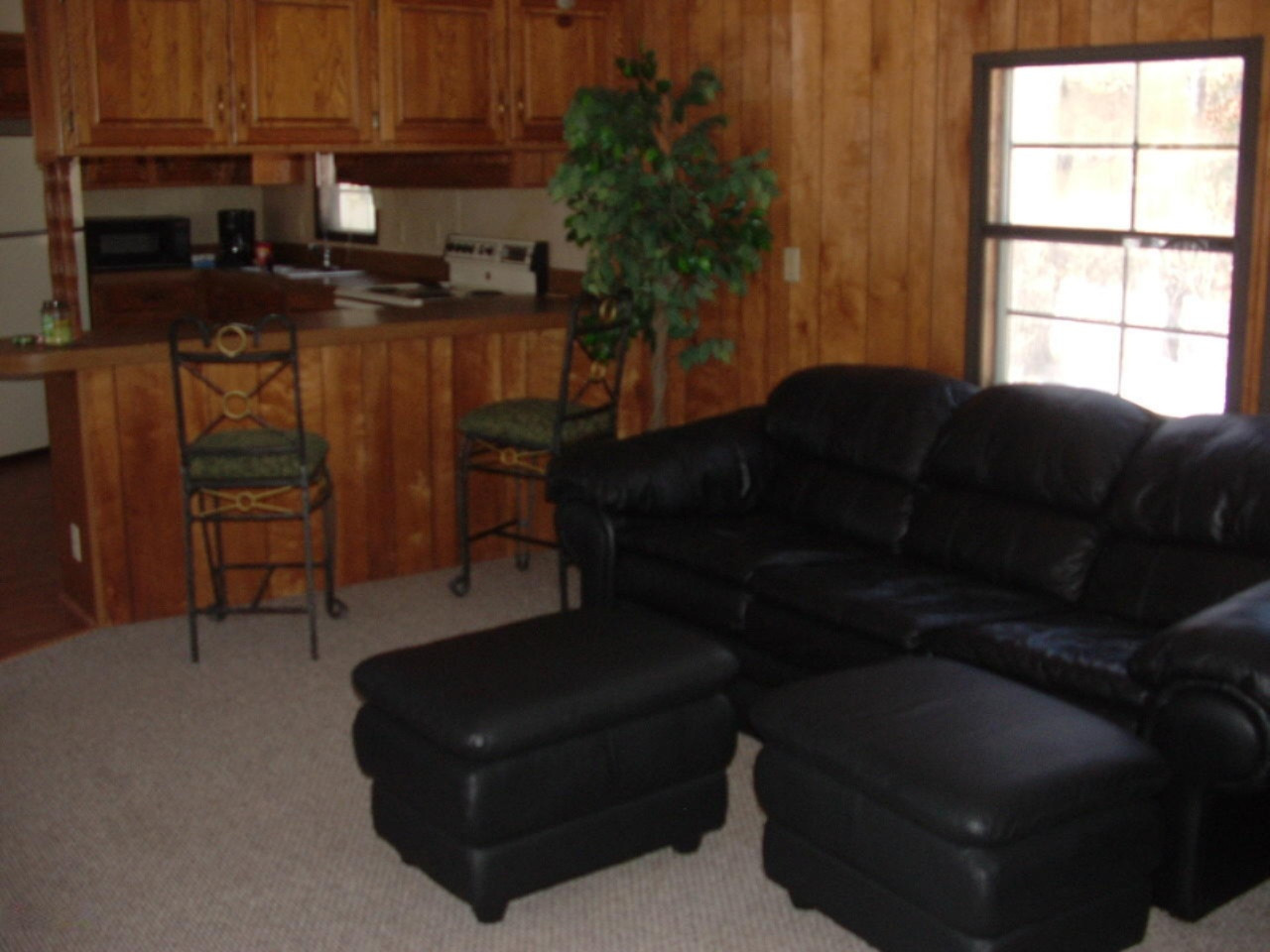 11199 North Forman Road Irons, MI 49644 - Photo 4 of 20 Living Room 3