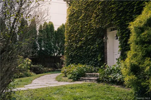 a view of backyard with potted plants and a large tree