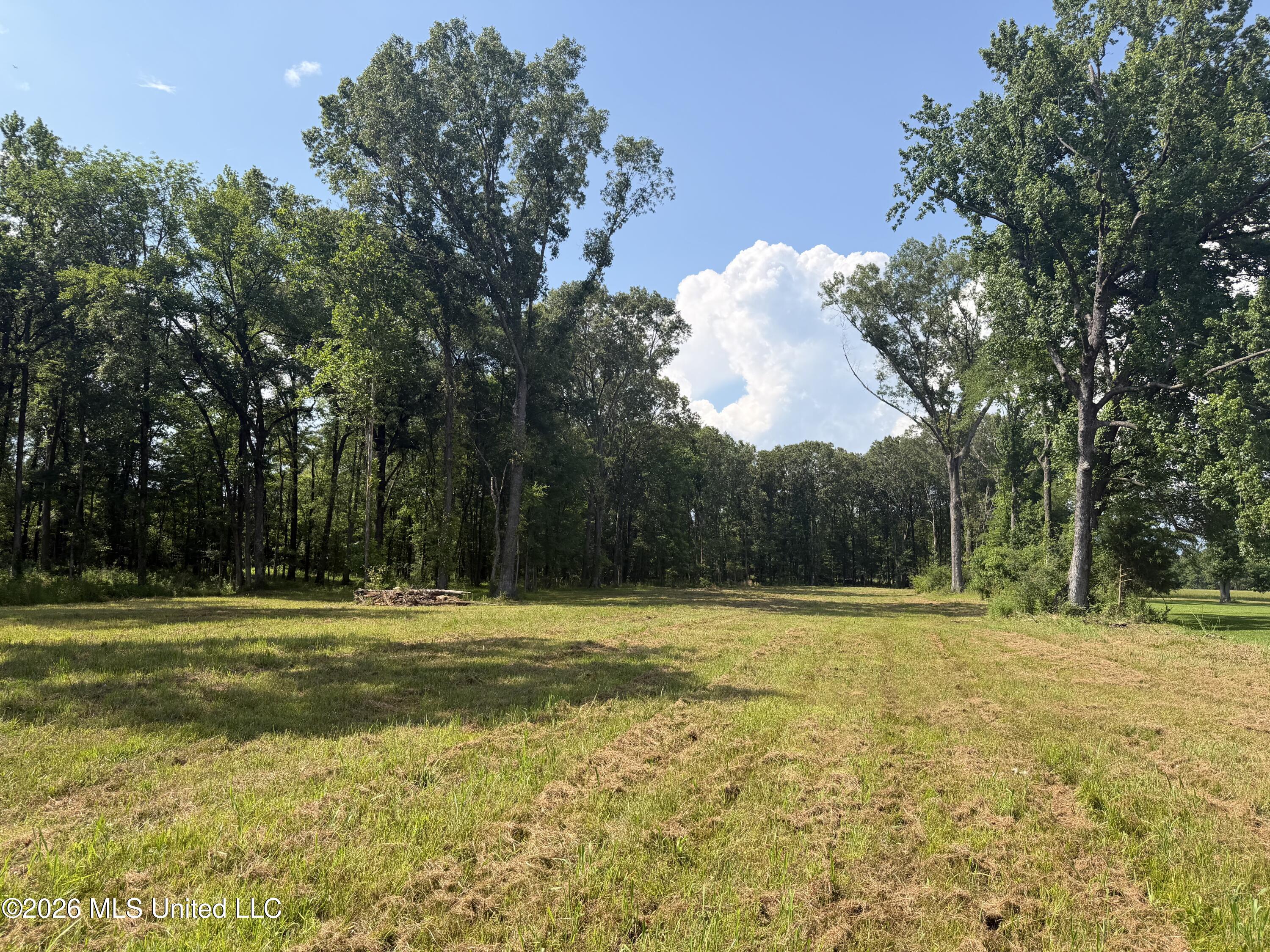 512 Ratliff Ferry Road Canton, MS 39046 - Photo 2 of 42 2
