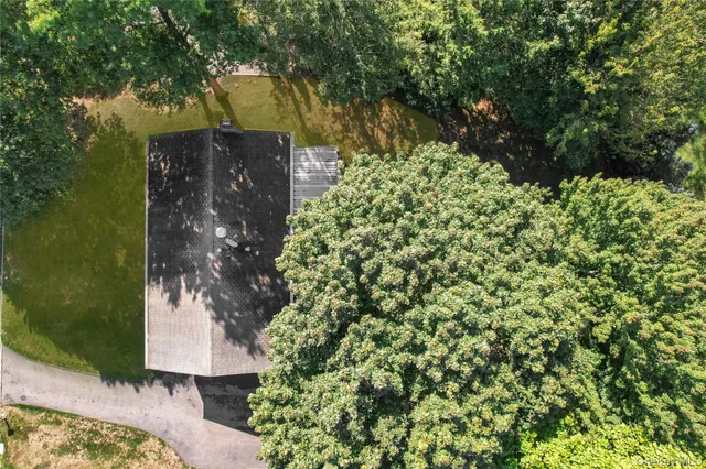 a view of a trees in a yard