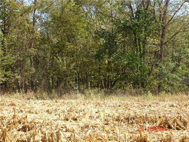 305 North Putnam County Road Coatesville, IN 46121 - Photo 3 of 6