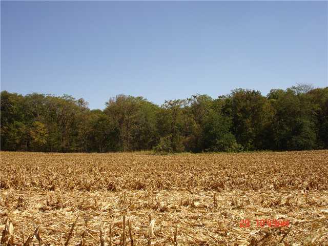 305 North Putnam County Road Coatesville, IN 46121 - Photo 4 of 6