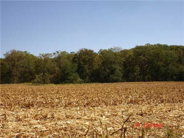 305 North Putnam County Road Coatesville, IN 46121 - Photo 5 of 6