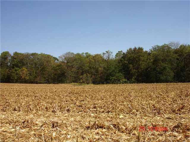 305 North Putnam County Road Coatesville, IN 46121 - Photo 6 of 6