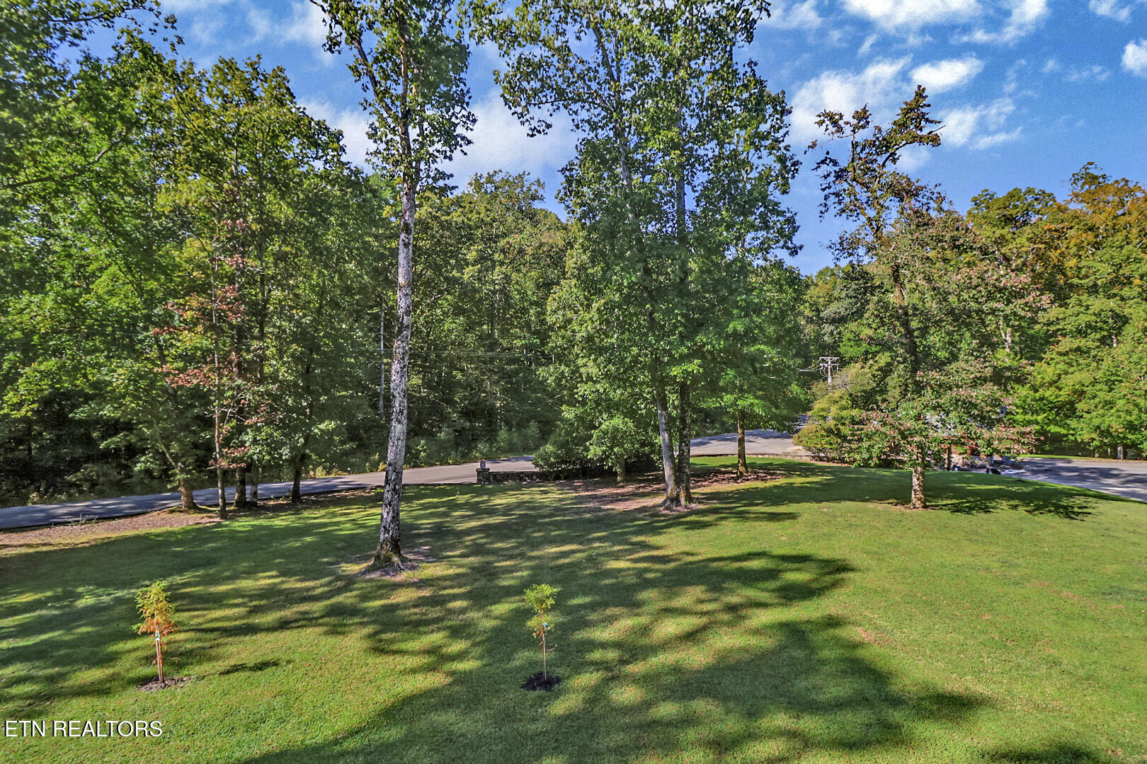100 Eagle Ridge Road Rockwood, TN 37854 - Photo 58 of 60 58_EagleRidgeRoad_100_FrontYard