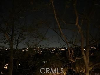 17 La Paloma Dana Point, CA 92629 - Photo 4 of 36 a picture of a tree