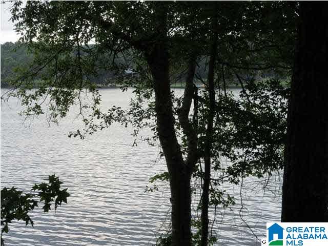 0 Timber Trail, Unit LOT 29 Sylacauga, AL 35151 - Photo 3 of 25