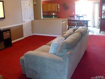 16 Kevin Street Waterloo, IL 62298 - Photo 4 of 20