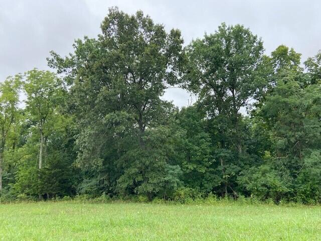 2197 Brooksville Chatham Road Augusta, KY 41002 - Photo 26 of 34 Gallery Image 26