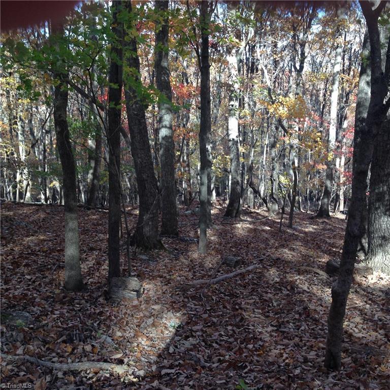 0 Scott Mountain Rd Extension Asheboro, NC 27205 - Photo 3 of 8 Gallery Image 3