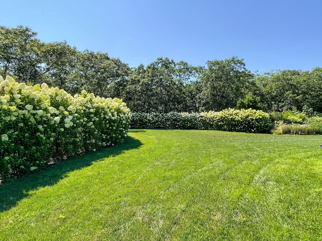 149 Litchfield Road Edgartown, MA 02539 - Photo 32 of 37 a view of a garden