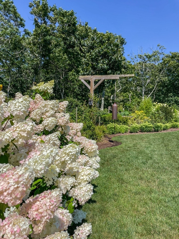 149 Litchfield Road Edgartown, MA 02539 - Photo 34 of 37 a view of a tree with a yard