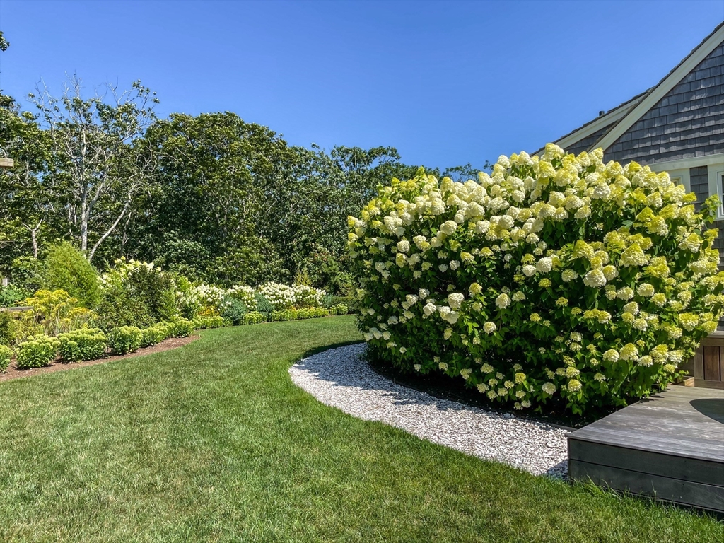 149 Litchfield Road Edgartown, MA 02539 - Photo 36 of 37 a view of a garden with an outdoor space