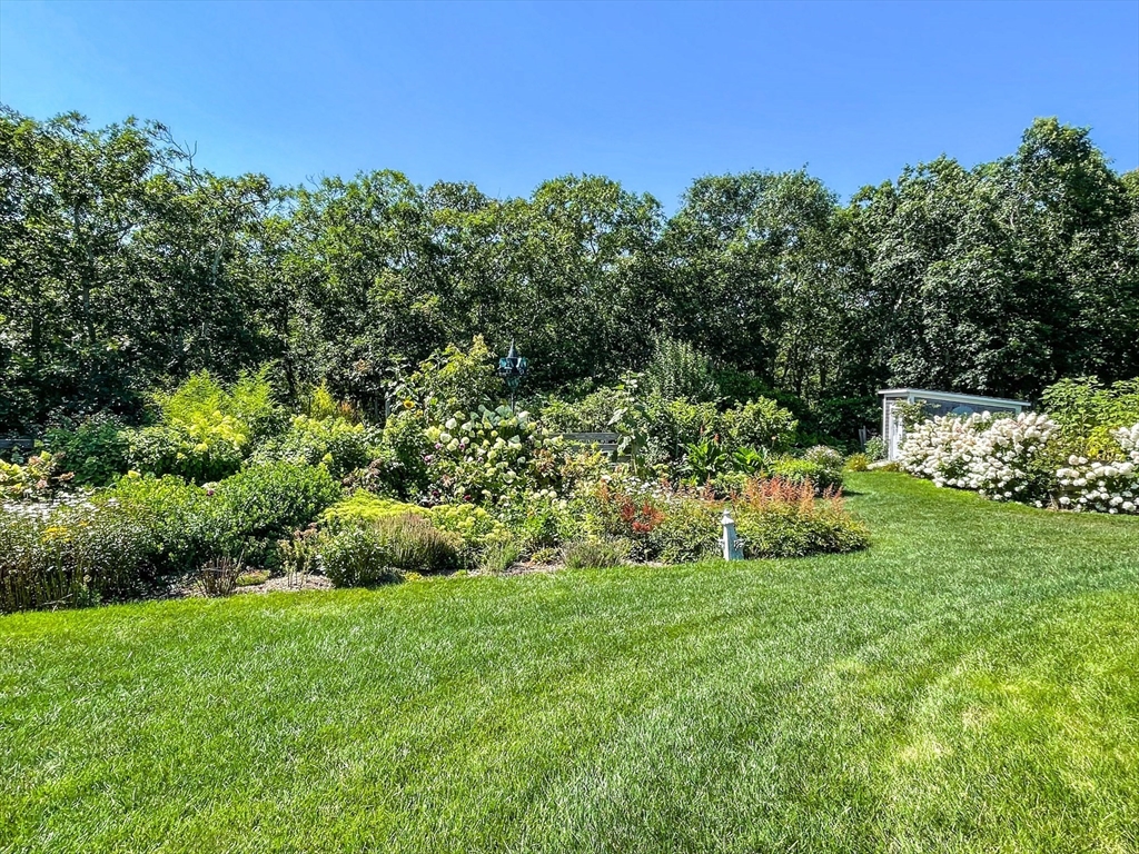 149 Litchfield Road Edgartown, MA 02539 - Photo 37 of 37 a view of a garden with a building in the background