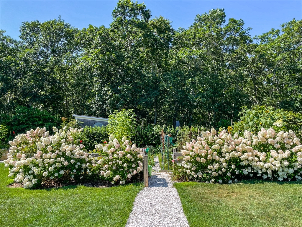 149 Litchfield Road Edgartown, MA 02539 - Photo 6 of 37 a view of a garden