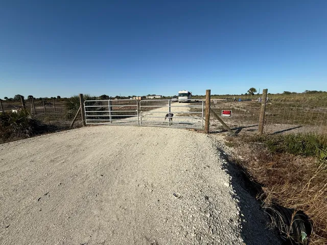 a view of a dry yard with a large tree