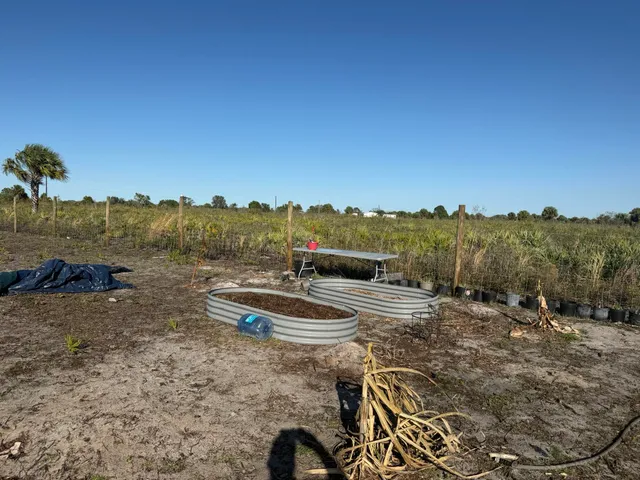a view of a dry yard with trees