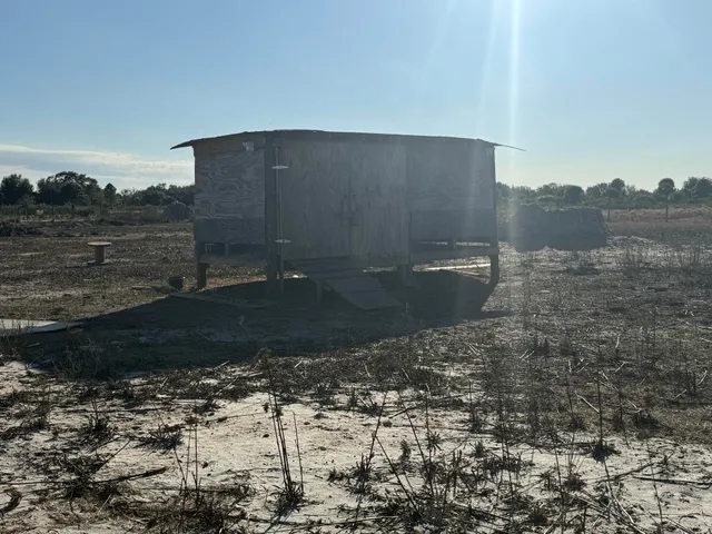 a view of a dry yard with wooden fence